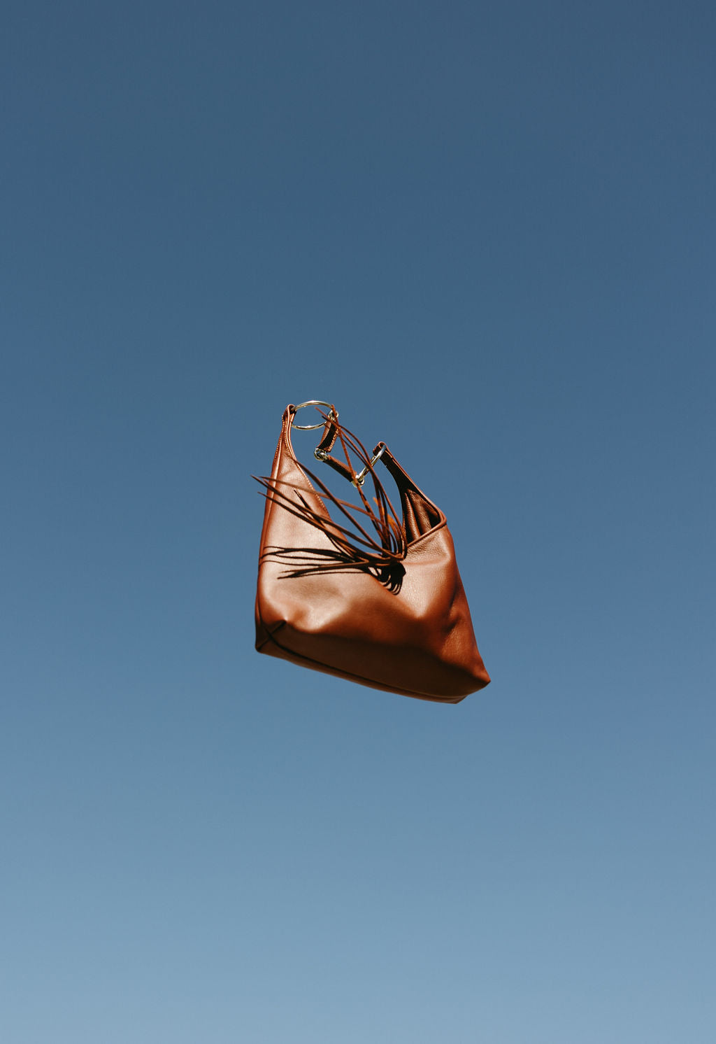 Espresso Hobo Bit Bag